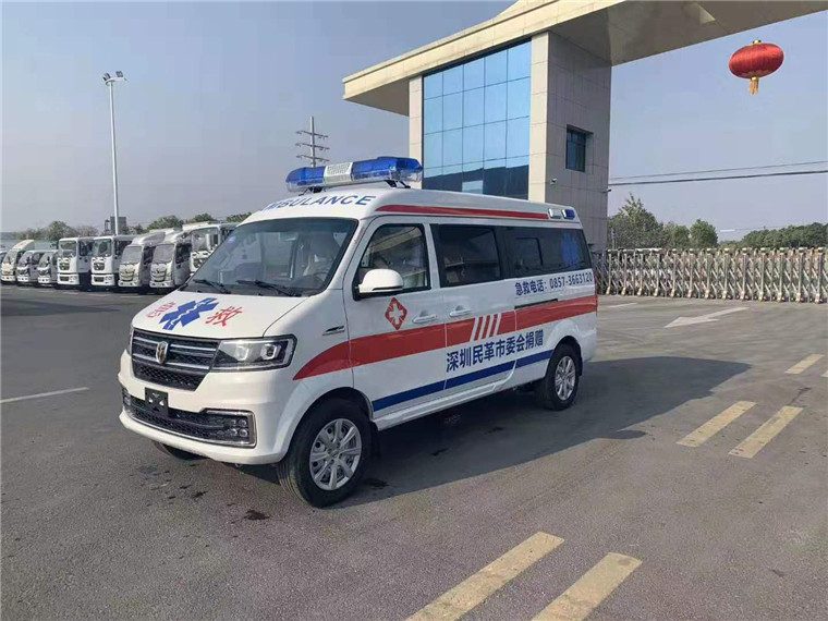金杯小海獅S救護車(國六)圖片2